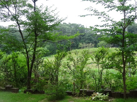 d0257298_13333929.jpg