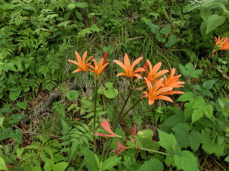 a0203003_17305575.jpg