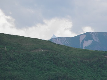 d0032405_10484345.jpg