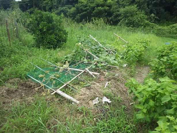 c0280206_22214910.jpg