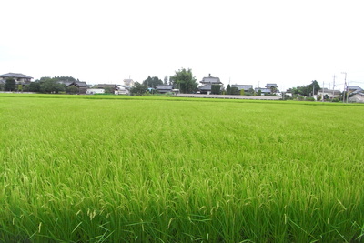 f0162309_22431569.jpg