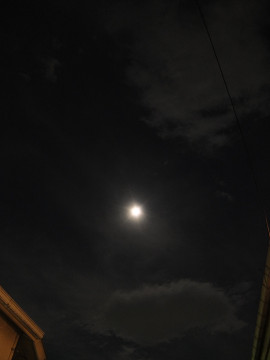 b0309813_053292.jpg