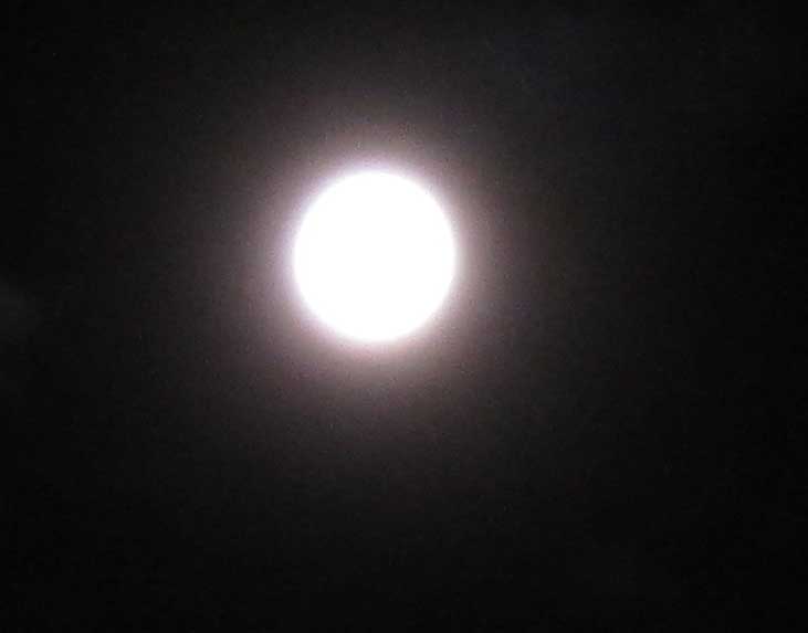 c0219815_11534046.jpg