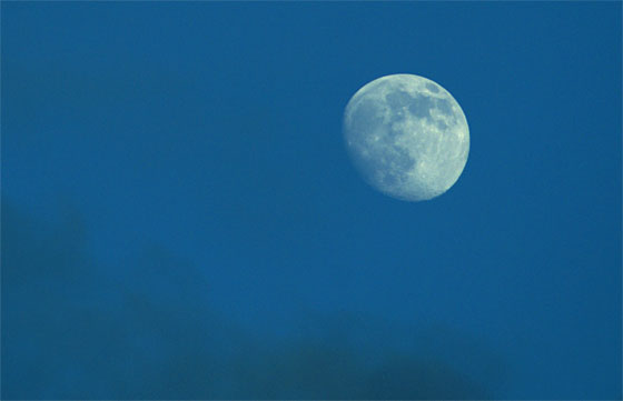 c0147123_3434168.jpg