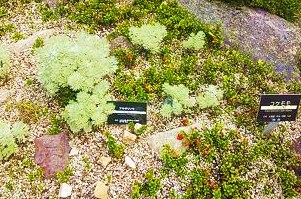 e0189225_151535100.jpg