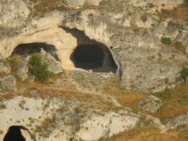 f0329429_16390785.jpg