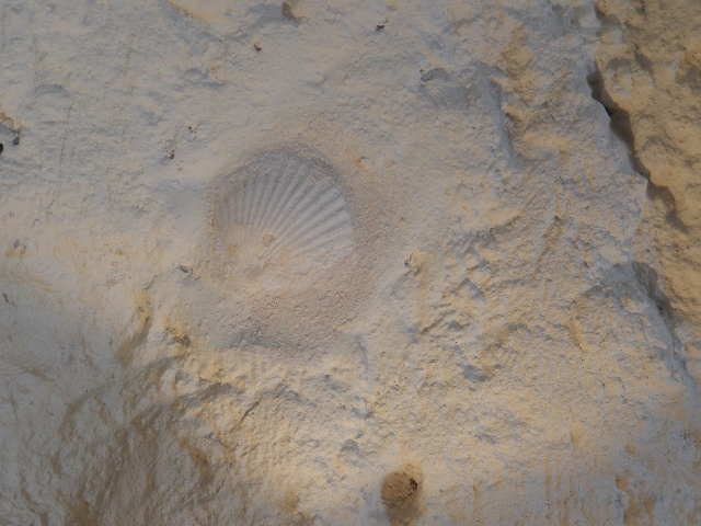 f0329429_16555698.jpg