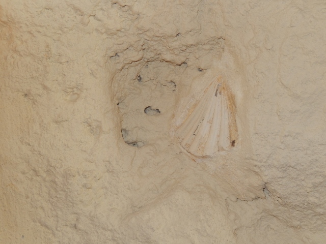 f0329429_16560279.jpg