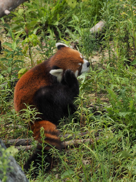 a0149740_2324285.jpg