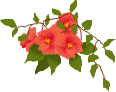 c0015041_2020396.gif