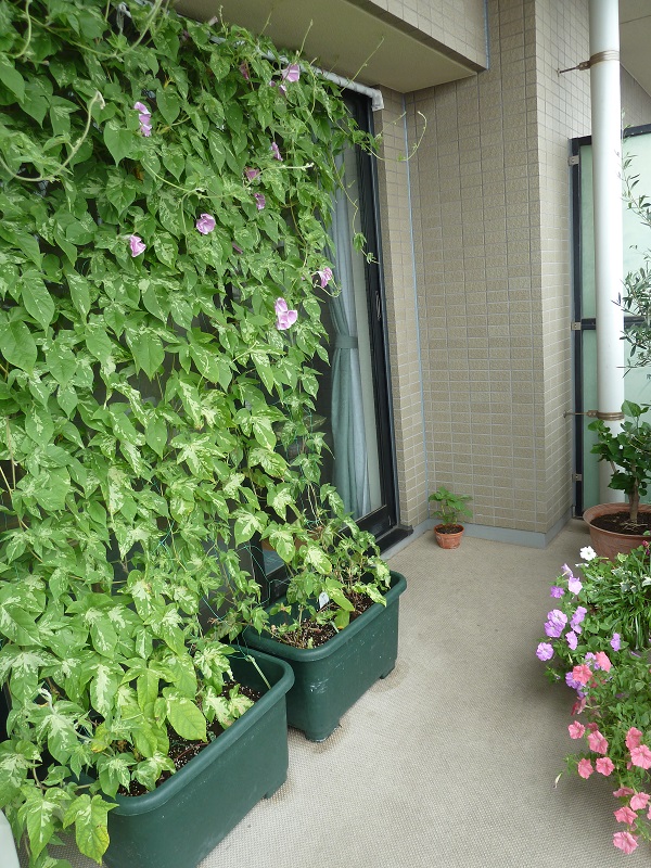 d0288144_00094404.jpg
