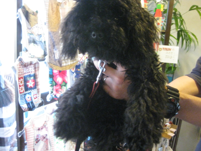 c0134645_031587.jpg