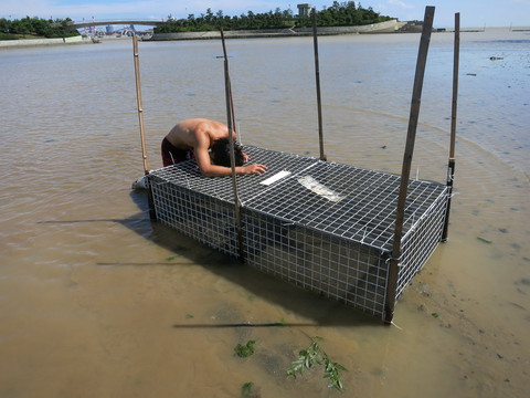 e0020945_1352745.jpg