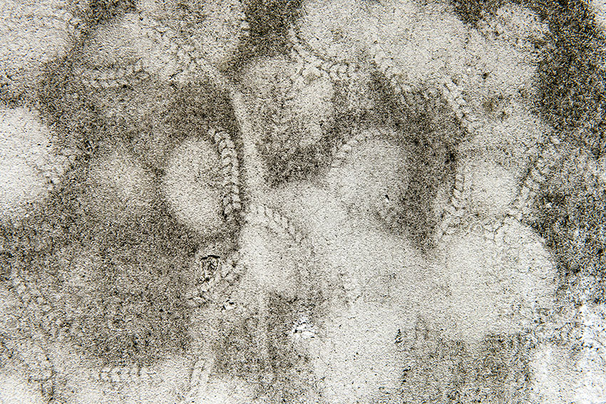 f0077849_1623330.jpg