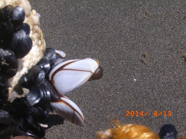 a0157451_21452572.jpg