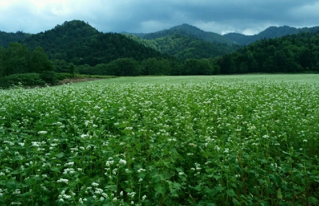 b0223766_11374189.jpg