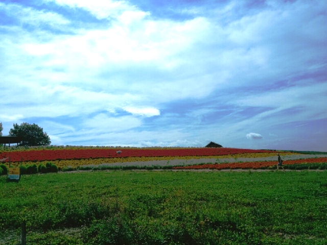 b0223766_1195060.jpg