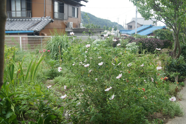 e0181373_22183137.jpg