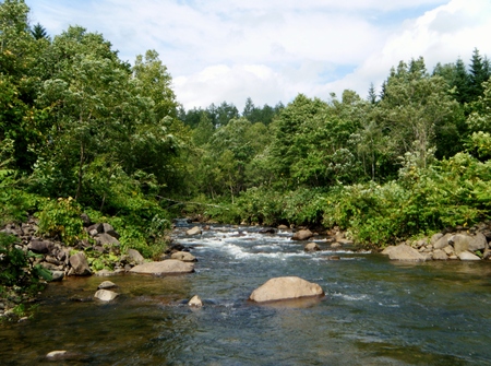 d0170077_23361993.jpg