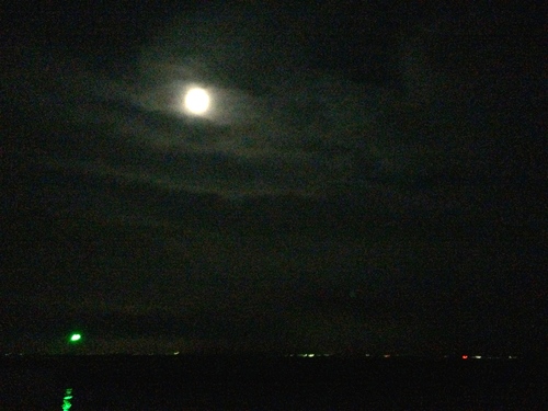 b0174284_20154750.jpg