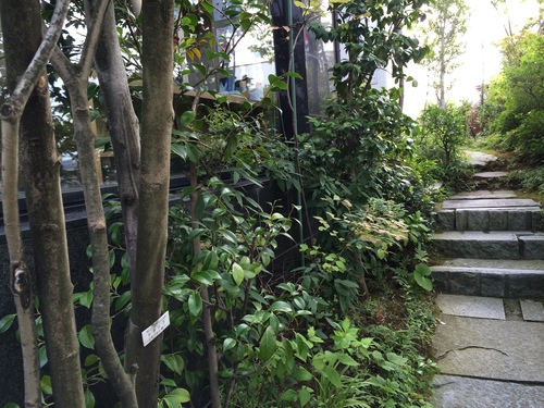 b0174284_20155929.jpg