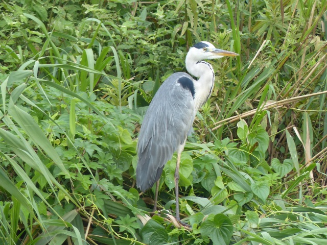 f0357487_0192963.jpg