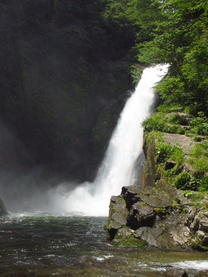 f0110488_1929634.gif