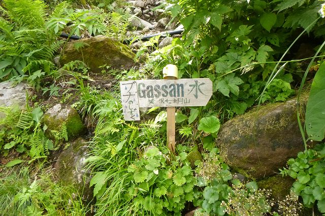 e0137200_2218863.jpg