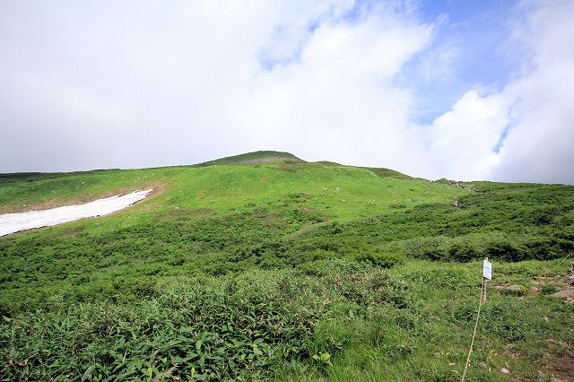 e0137200_227141.jpg