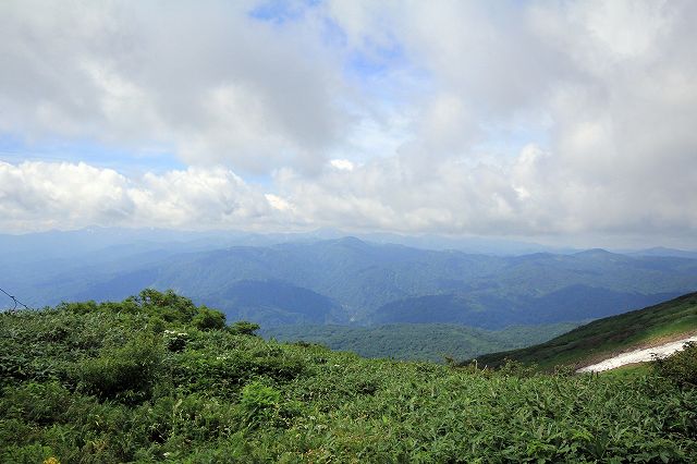 e0137200_227334.jpg