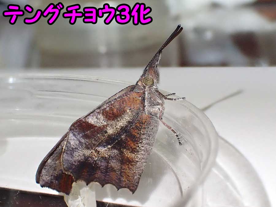e0253104_00104001.jpg