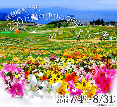 e0033713_19205221.png