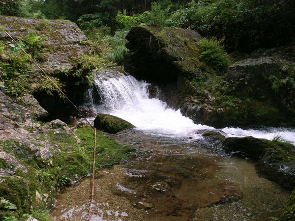 f0341616_75230.jpg