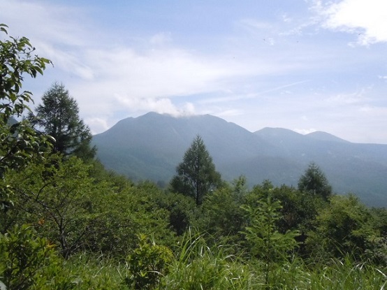c0263829_1930163.jpg
