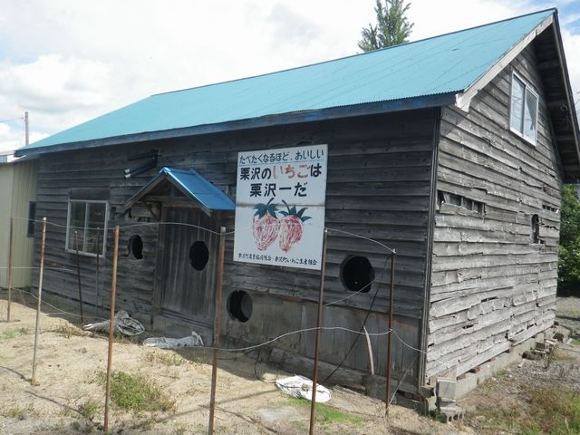 e0026331_1517335.jpg