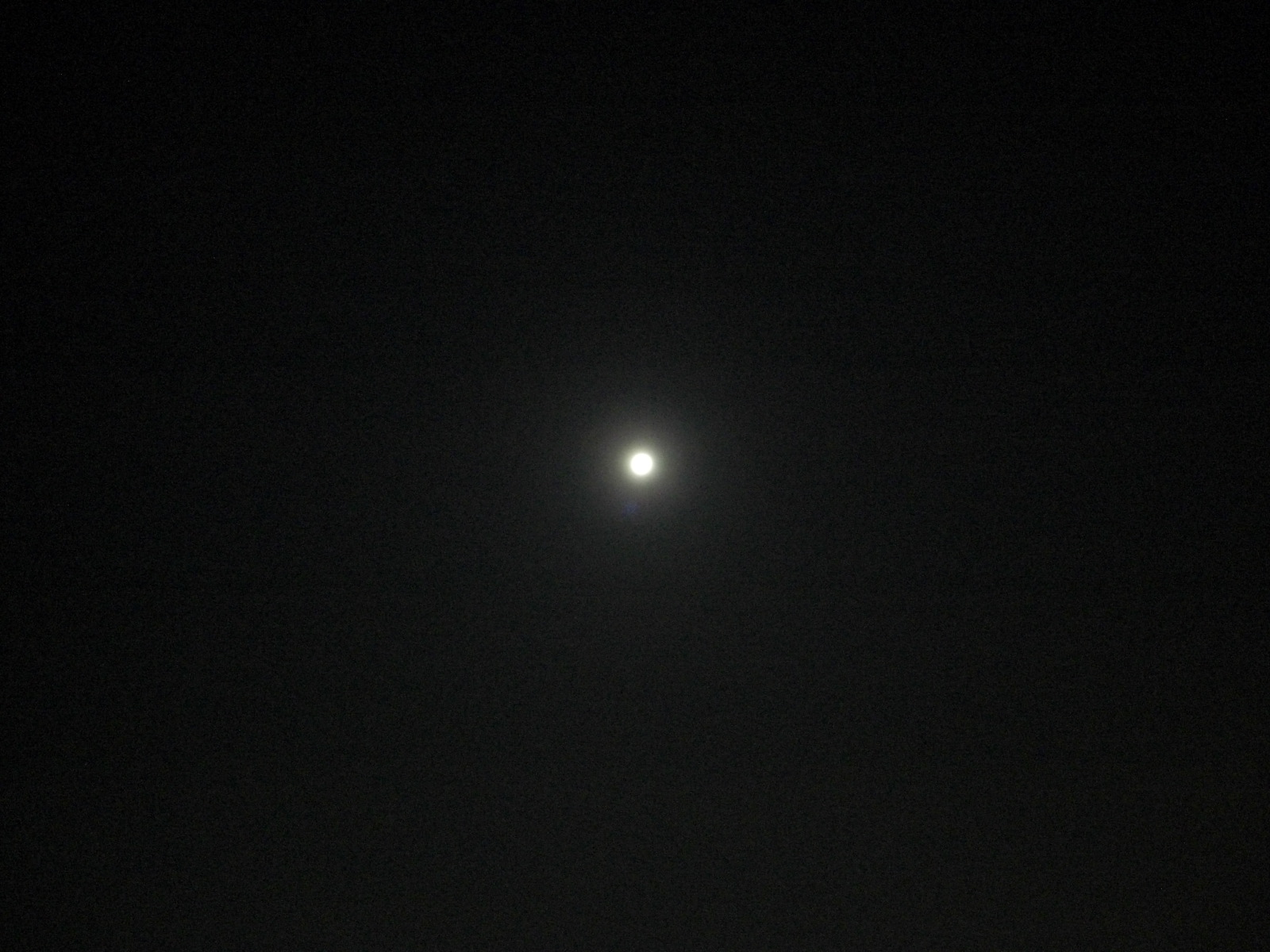 a0163738_15415371.jpg