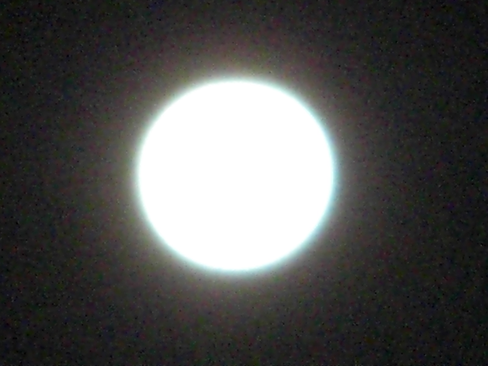 a0163738_1543885.jpg