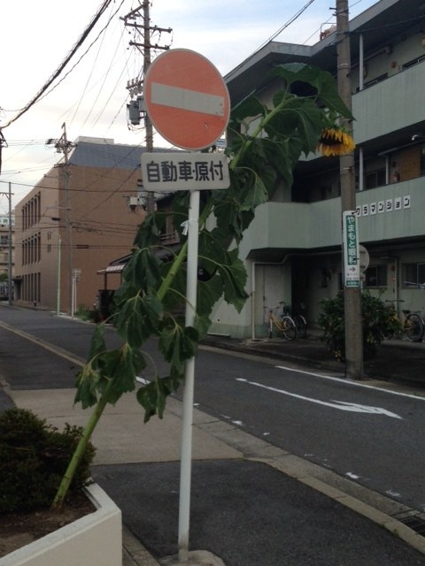 d0089742_0161761.jpg