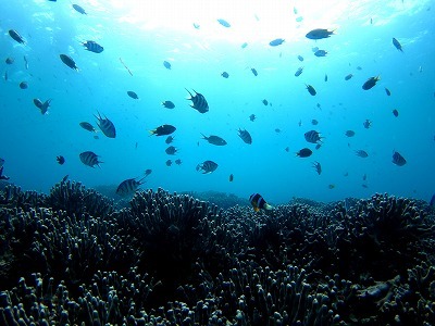 d0148244_22113658.jpg