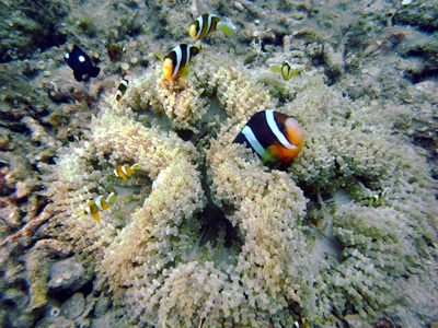 d0148244_22121473.jpg