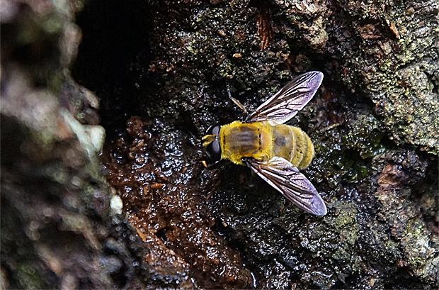 f0214649_16411470.jpg