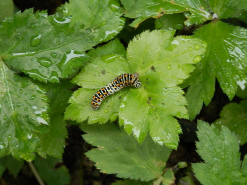 e0288951_17351911.jpg