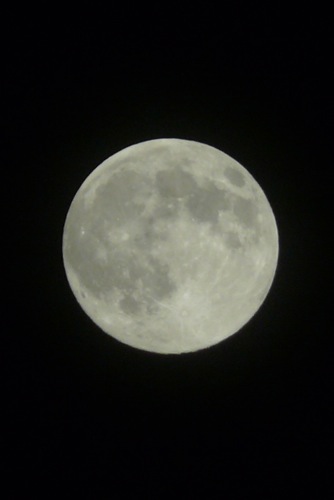 f0050651_10311510.jpg