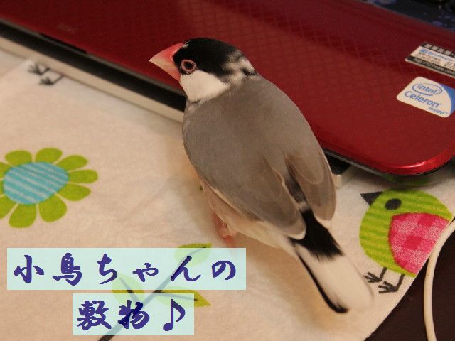 b0158061_21205987.jpg