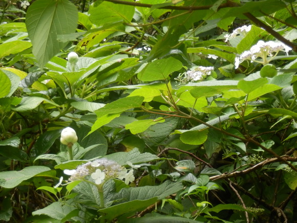 e0292172_21143251.jpg