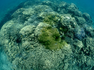 b0033573_15020309.jpg
