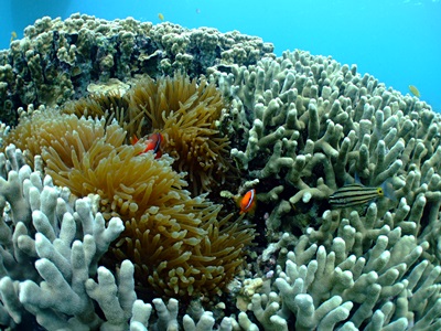 b0033573_15020872.jpg