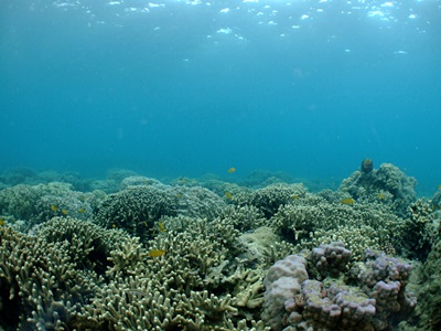 b0033573_15021225.jpg