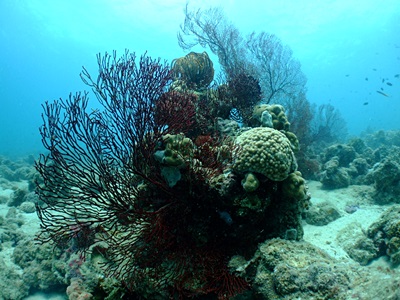 b0033573_15021857.jpg