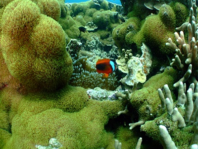 b0033573_15022598.jpg
